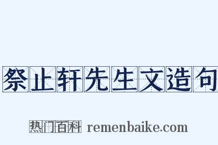 祭止轩先生文造句是什么意思的图片